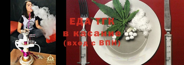 гидра Карпинск