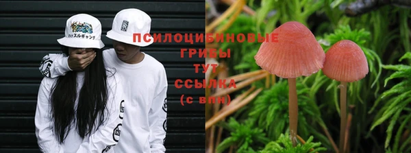 spice Касимов