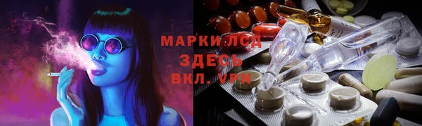 гидра Карпинск