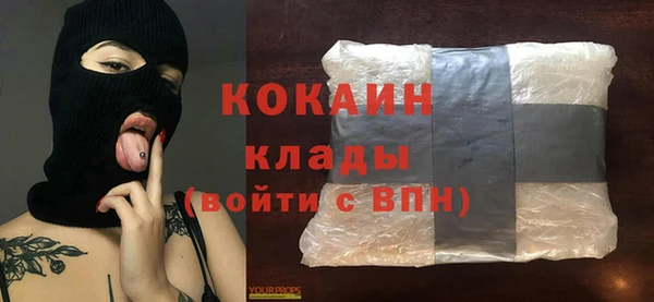 гидра Карпинск