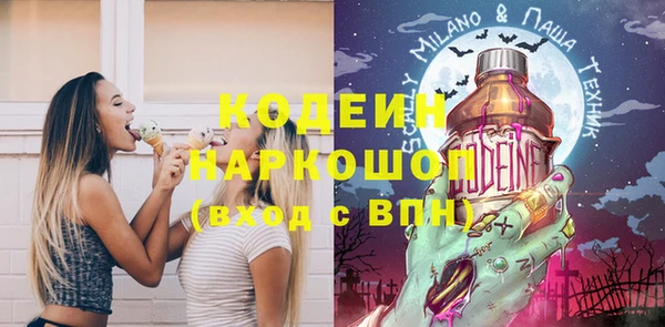гидра Карпинск