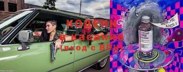 гидра Карпинск