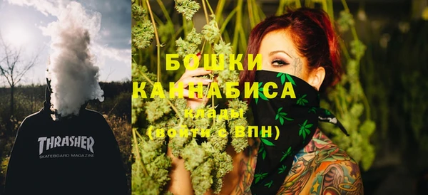 гидра Карпинск
