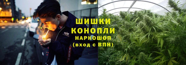 гидра Карпинск