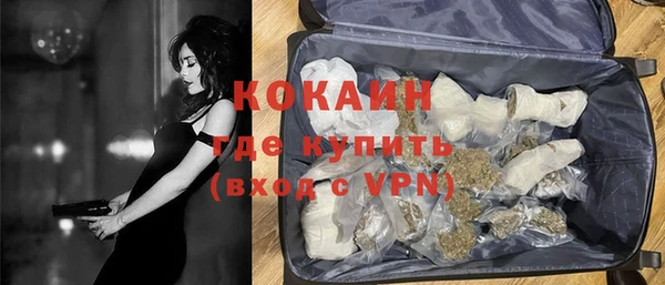 гидра Карпинск