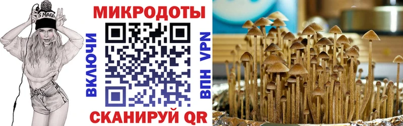 Псилоцибиновые грибы мухоморы  Купить  Кемерово 